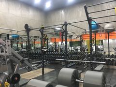 -健身专家Wellness Experts