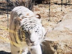 -齐齐哈尔龙沙动植物园