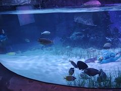 -沈阳海洋探索中心