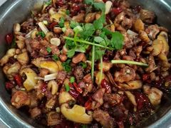-食神又名厕所兔