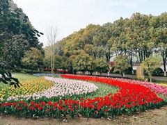 -上海鲜花港
