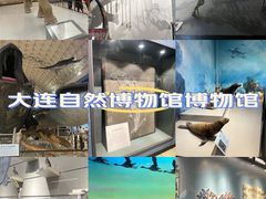 -大连自然博物馆