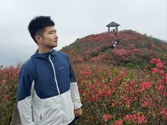 -大围山国家森林公园