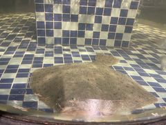 多宝鱼-醉湘厨艺(才华街店)