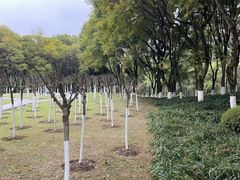 -重庆彩云湖湿地公园