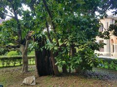 -Patek Philippe百达翡丽(上海源邸店)