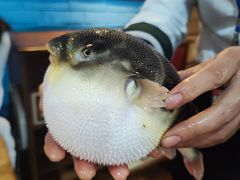 -永安鱼庄·镇江菜(三店纬五路店)