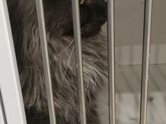 -萌兽医馆·眼科·异宠专科(三里屯店)