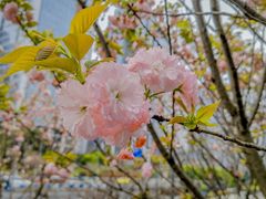 -两江幸福广场