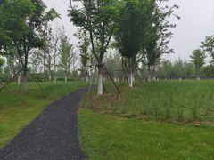 -大蜀山国家森林公园