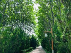 -洛阳市隋唐城遗址植物园