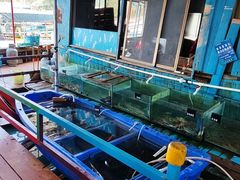 -蓝湾碧波·老字号·疍家非遗海上餐厅