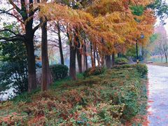 -杭州半山国家森林公园