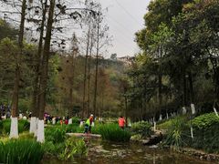 -重庆彩云湖湿地公园