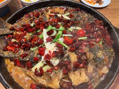 -老板恋上鱼(恒隆广场店)