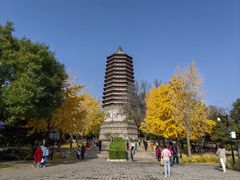 -玲珑塔公园