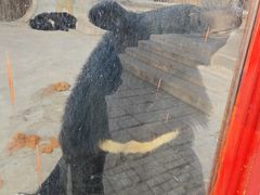 -二一九公园