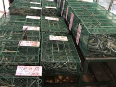 -荔城生鲜盛宴(番禺旗舰店)
