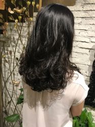 -小左沙龙