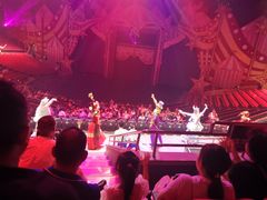 -珠海横琴长隆《卡卡虎奇遇记》