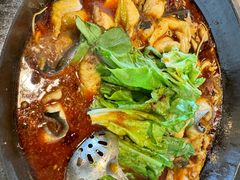 -都江堰石锅鱼