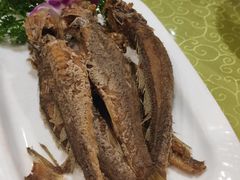 -浦江餐饮•上海菜馆(五四路店)