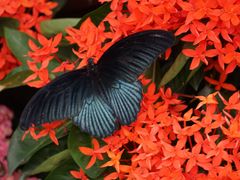 -上海动物园(地铁站)