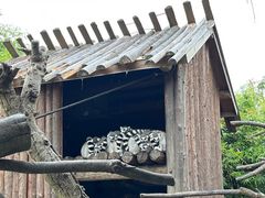 -宁波野生动物园