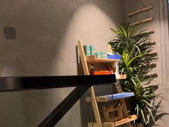 -施奈儿.洗头頭療.按摩SPA.采耳(上梅林店)