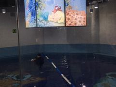 -蓝旗游泳·青训·亲子水域中心(方庄中心)