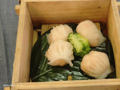 伯乐居虾饺-伯乐居茶艺馆(石岐大信店)