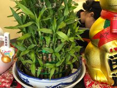 -黄泰吉拾味餐厅(江汉路店)