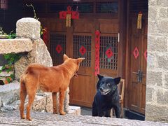 -林坑古村落