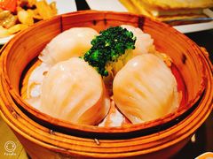 -南枝记