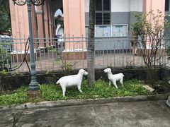 -耶稣圣心堂