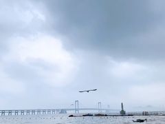 -星海湾跨海大桥