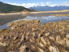-泸沽湖国家级风景名胜区走婚桥
