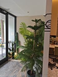 点击看大图 -左岸摄影写真(天津旗舰店)