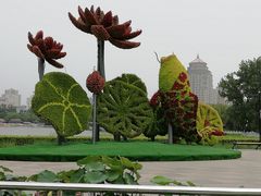 -莲花池公园