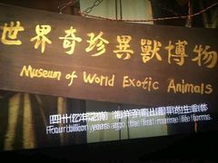 -CGV影城(梅江ScreenX店)