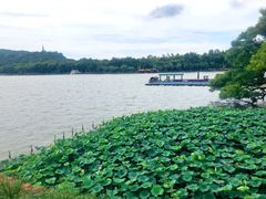 -湖畔居茶楼(湖滨店)