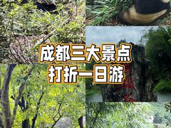 -熊猫谷