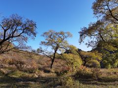 -克什克腾世界地质公园青山景区