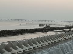 -南汇新城海滩