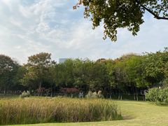 -后襄河公园