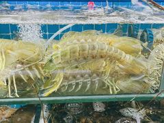 -凯华海鲜火锅·传承三十六年
