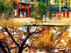 -碑林公园