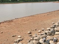 -金沙湖公园