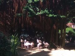 -九龙公园