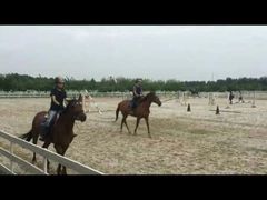 -月河湾马术俱乐部(朝阳店)